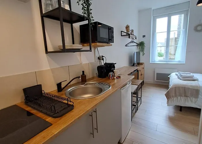 La Bohème, Studio, Proche Gare Sncf, Netflix Appartamento Laval (Mayenne)